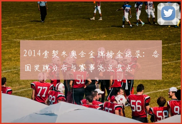 2014索契冬奥会金牌榜全记录：各国奖牌分布与赛事亮点盘点