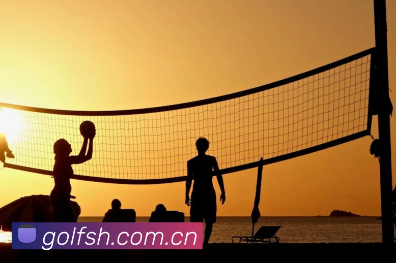 leyu乐鱼网页版登录入口服务体系