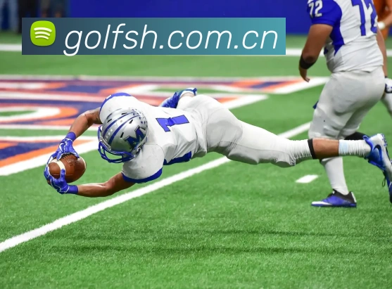 leyu乐鱼网页版登录入口APP 体育赛事宣传图